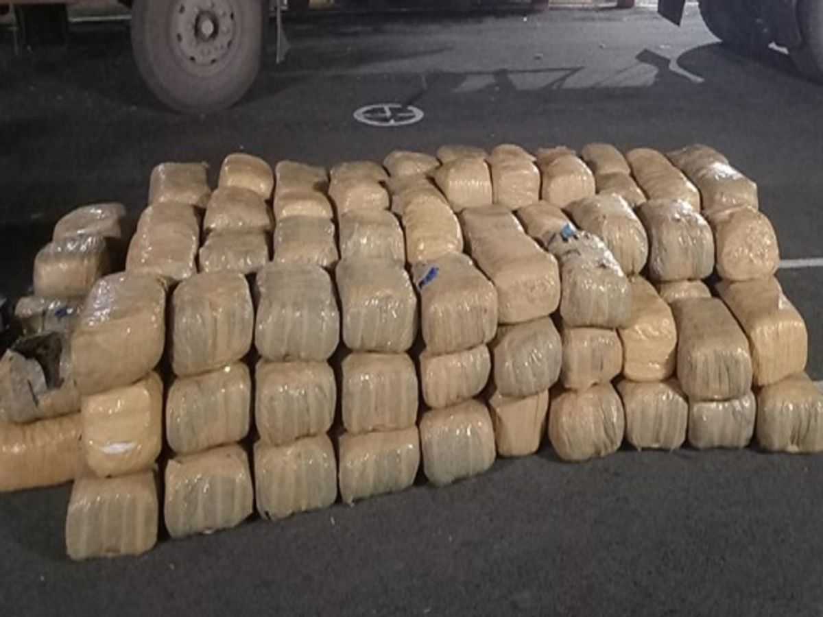 महासमुंद पुलिस की बड़ी कार्रवाई 912 किलो गांजा जब्त, 4.66 करोड़ की संपत्ति सीज, एक आरोपी गिरफ्तार