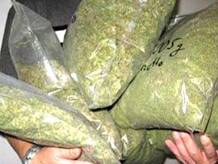 बिलासपुर में 254 किलो गांजा जब्त, एक तस्कर गिरफ्तार